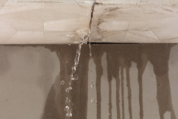 Professional Water Damage Repair technician working in Windom, TX
